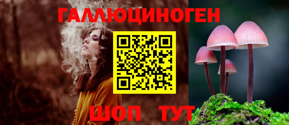 Зеленокумск  Псилоцибиновые грибы мицелий  Галлюциногенные грибы MAGIC MUSHROOMS  где купить наркоту  Вход с VPN 