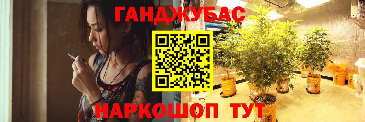 Бошки Шишки гибрид Зеленокумск